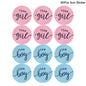 Gender Reveal Decoration Fringe Curtain Blue Pink Boy Girl Foil Balloon Gender Reveal Party Supplies Baby Shower Photo Backdrop
